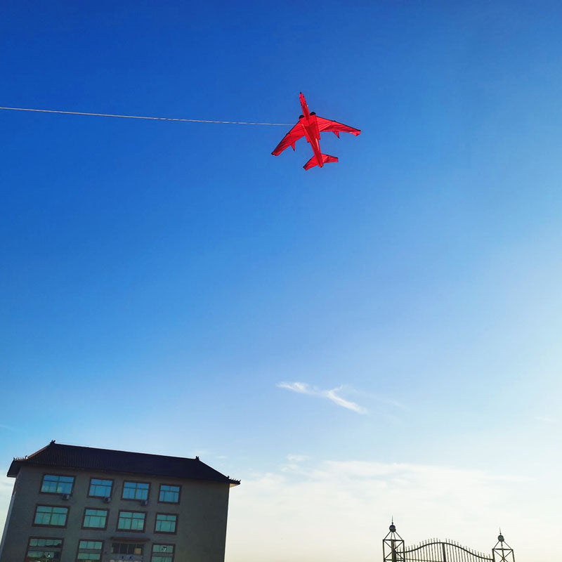 Free Shipping large kites flying plane kites for adults kites string line snake coil ripstop rainbow high wind pointer Kevlar