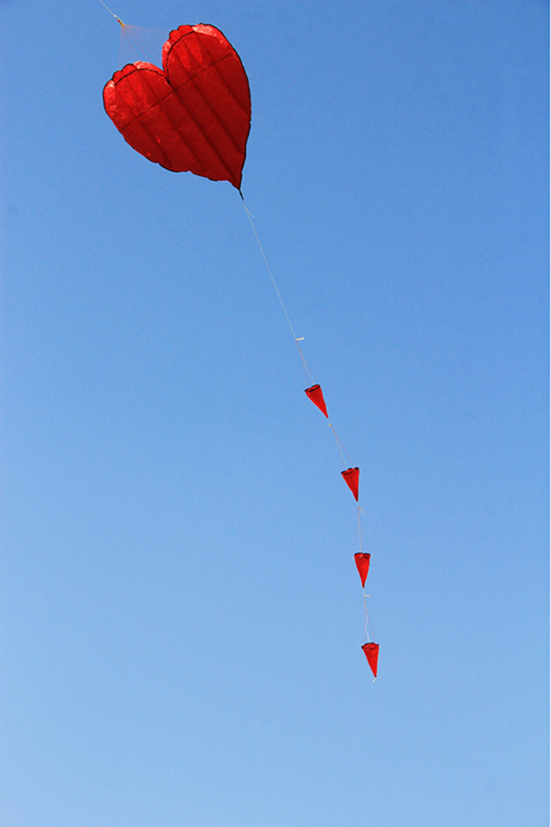 free shipping soft kites flying heart kites for adults kites and rays and lines love kites factory volantines paraglider fishing