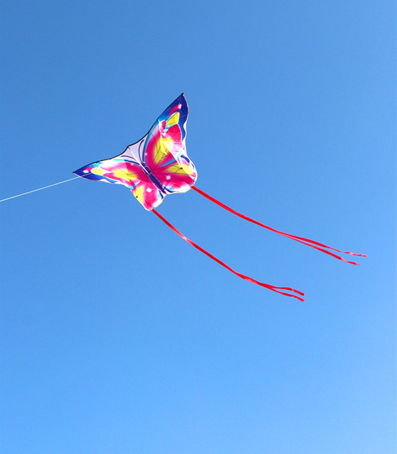 free shipping butterfly kites flying for kids kites nylon kites factory professional winds kites recreational reel flying fairy