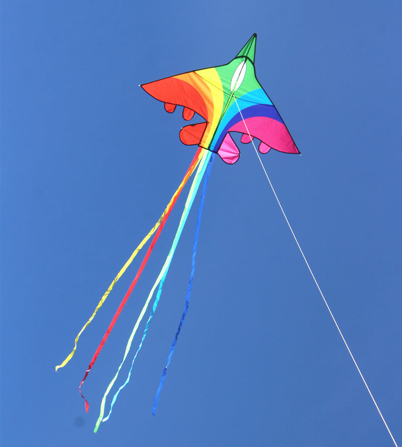 free shipping rainbow plane kites for children kites flying fighter kite line outdoor kites toys professional wind kite factory