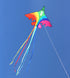 free shipping rainbow plane kites for children kites flying fighter kite line outdoor kites toys professional wind kite factory