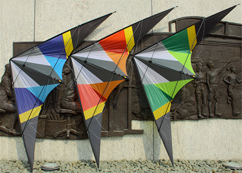 free shipping 255cm dual line stunt kite thunder wing power kite line speak loudly professional wind kites for adults kites reel
