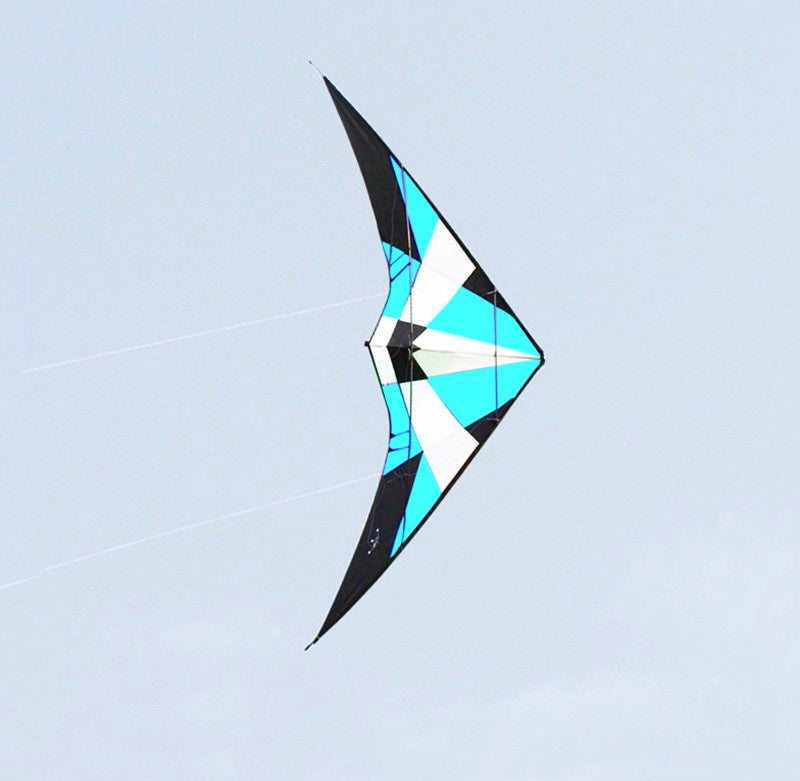 Free Shipping dual line stunt kites flying power kites factory beach kites for adults kites winds professional kite flying toys
