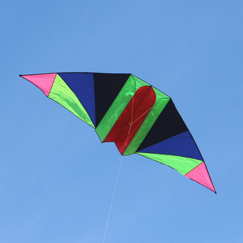 free shipping glider kites for adults kites ripstop nylon kites steering kite professional kite paraglider wing inflatable toys