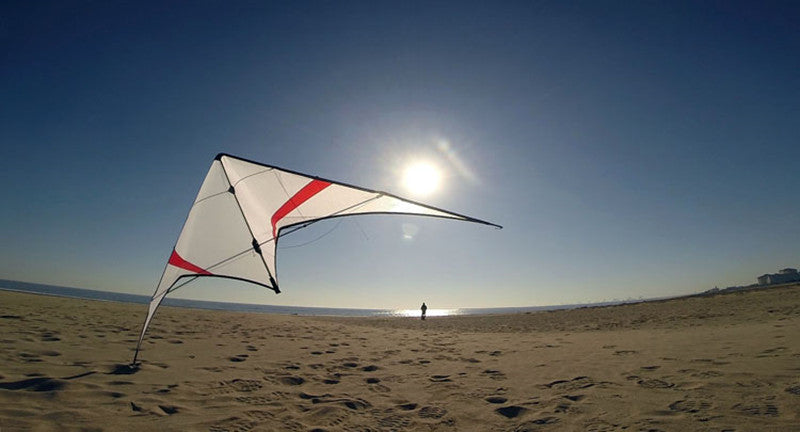 free shipping Freilein kite Factory dual line stunt kite flying professional wind kites for adults reel parapent voar pipe koi