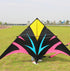 free shipping large delta kites flying for adults kites reel professional wind kites factory pocket kite sports toys Eagle kite