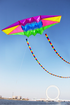 free shipping 2.5m Radar kites flying for children kites glider kites toys parafoil kite 3d kites professional paragliding adult