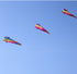 free shipping large kite windsocks kite tails ripstop nylon fabric inflatable kite accessories 3d kite pendant kite trilobites