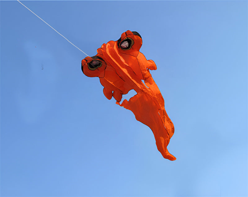 free shipping gold fish kite flying walk in sky kite factory outdoor sport toys nylon fabric kitesurf active rest voar pipe