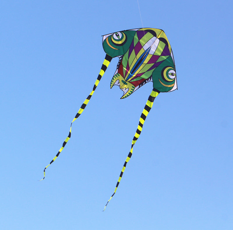 free shipping kids kites flying toys for children kites trilobites kites snakes kite factory eagle kite reel single line kites