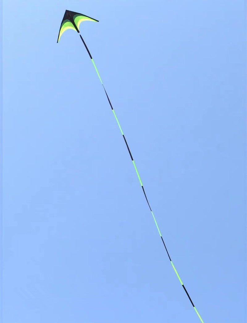 free shipping delta kites 6m tails flying toys for children kites fabric ripstop nylon outdoor sports beach kites factory ikite