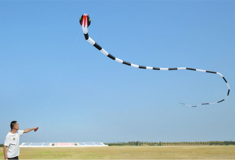free shipping 3d kites flying snake kites for adults kites parachute inflatable kite dragon flight kite windsurfing professional