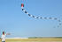 free shipping 3d kites flying snake kites for adults kites parachute inflatable kite dragon flight kite windsurfing professional