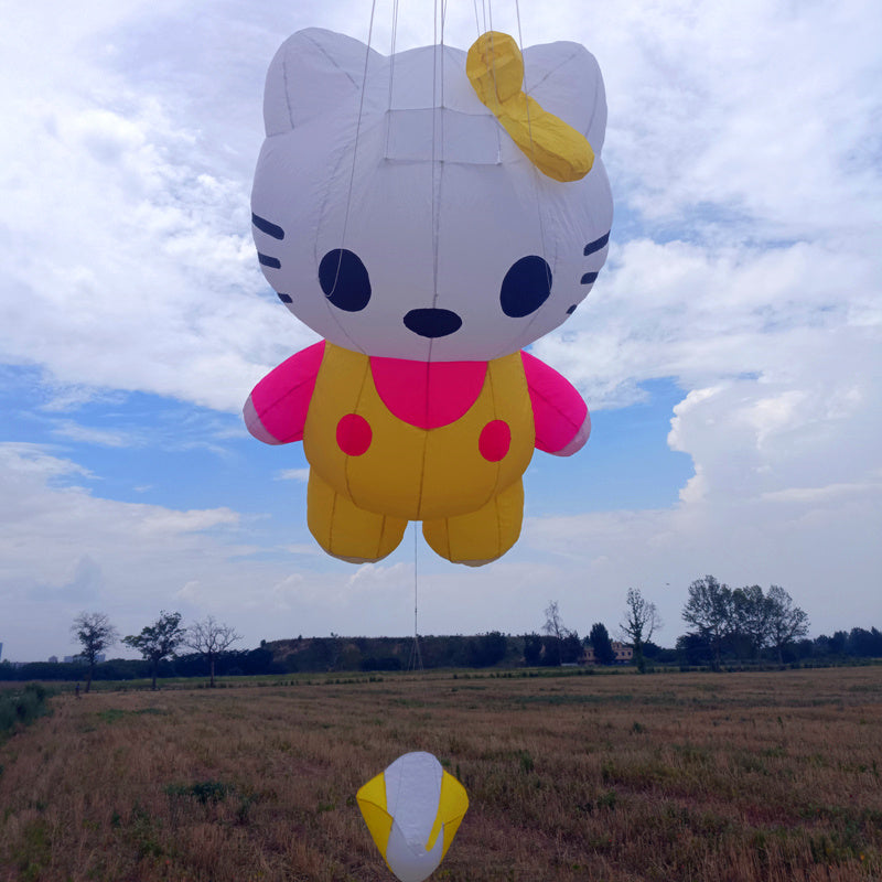 Free Shipping inflatable kite pendant flying soft kite windsocks kites show kites factory professional wind kites pilot kite