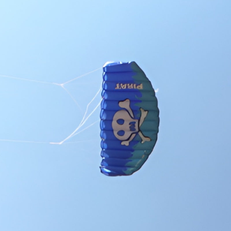 Free Shipping dual line stunt kites power kites flying for new beginner kite surf beach kites factory paragliding flying wing