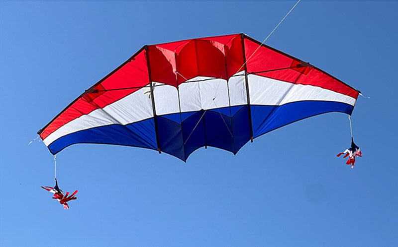 free shipping glider kites for adults kites ripstop nylon Power kite flyingbear rainbow high paper dragon snake coil cometa