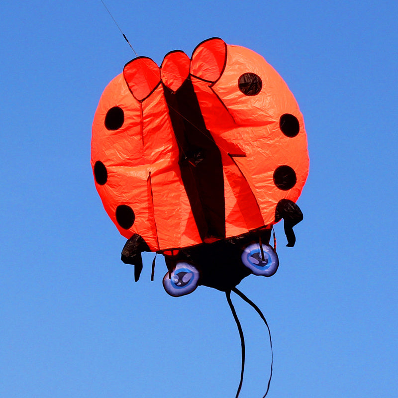 free shipping large ladybug 3D soft kite outdoor flying toys kites for adults vlieger kitesurf kite reel weifang kite factory