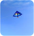 free shipping new children kites flying string line outdoor toys for kids Cartoons kites nylon kite factory spacecraft outdoor