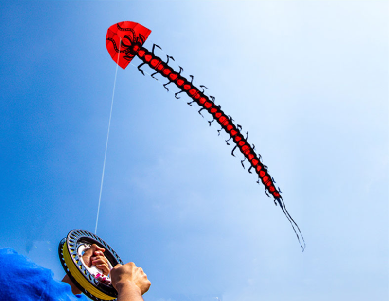 free shipping centipede kite flying adults kites factory professional wind kites line windsurfing sail flying dragon for kids