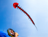 free shipping centipede kite flying adults kites factory professional wind kites line windsurfing sail flying dragon for kids