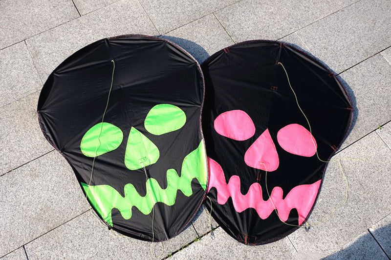 Free Shipping Skull kites flying 3d kites for adults inflatable games kite air kites for professional wind power plane kite