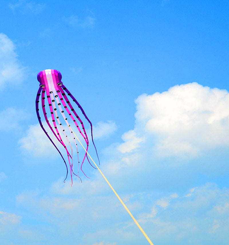 free shipping large octopus kite for adults soft kite professional kites factroy kiteboard power inflatable kites nylon wind air