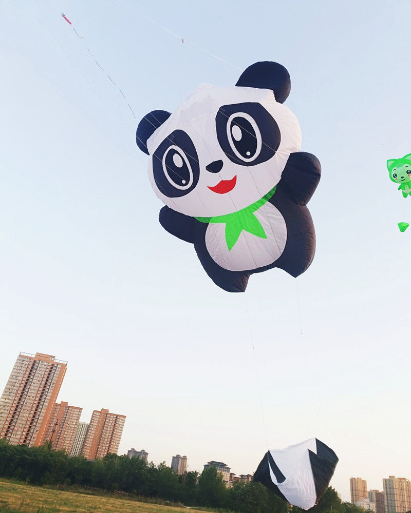 Free Shipping inflatable kite pendant flying soft kite windsocks kites show kites factory professional wind kites nylon winder