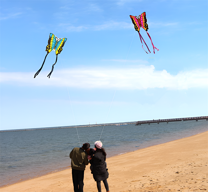 free shipping butterfly kite outdoor children kite flying toys ripstop nylon birds eagle kite parachute weifang kite factory new