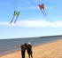 free shipping butterfly kite outdoor children kite flying toys ripstop nylon birds eagle kite parachute weifang kite factory new