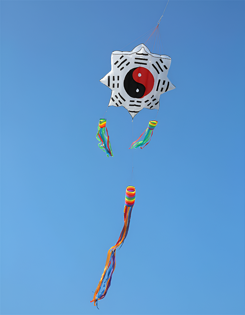 free shipping 3d kites flying soft kites gossip kite nylon ripstop giant inflatable kites Chinese traditional kites dragon kites