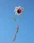 free shipping 3d kites flying soft kites gossip kite nylon ripstop giant inflatable kites Chinese traditional kites dragon kites