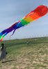 free shipping 35m large Ancient Trilobites kite flying outdoor toys professional kite factory soft kite for adults
