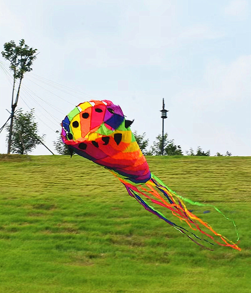 free shipping new kites windsocks 3d kites tails large kites for adults kites accessories soft kites outdoor toy Parachute kites