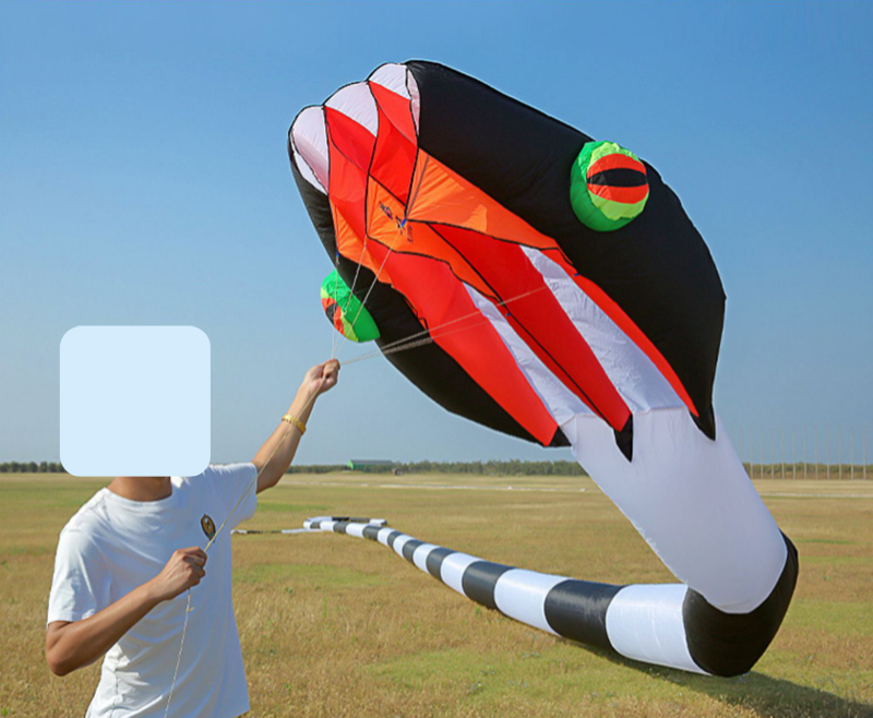 free shipping 3d kites flying snake kites for adults kites parachute inflatable kite dragon flight kite windsurfing professional