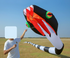 free shipping 3d kites flying snake kites for adults kites parachute inflatable kite dragon flight kite windsurfing professional