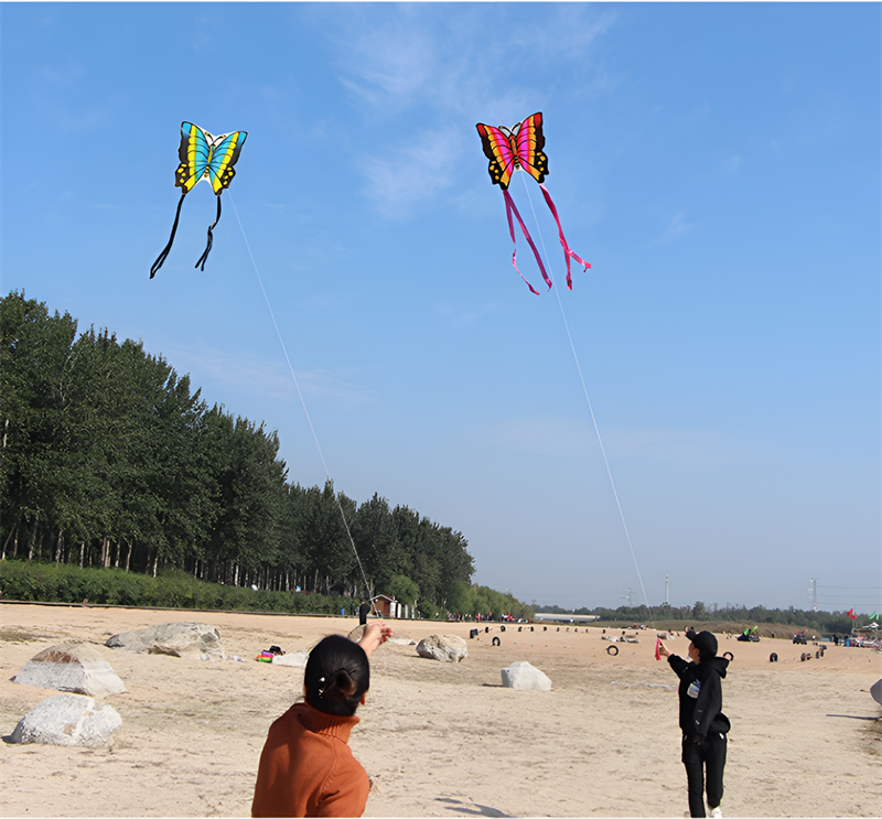 free shipping butterfly kite outdoor children kite flying toys ripstop nylon birds eagle kite parachute weifang kite factory new