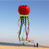 free shipping 8m jellyfish kites flying for adults kites line nylon kites factory professional paragliding inflatable show kites