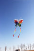 free shipping new kites flying butterfly kites nylon kites factory professional winds kites reel delta wing to fly kite handle