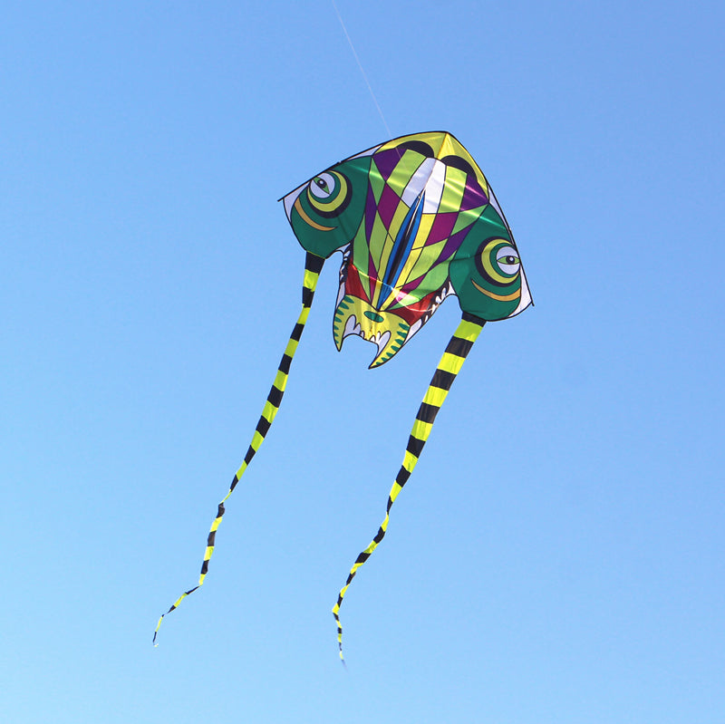 free shipping kids kites flying toys for children kites trilobites kites snakes kite factory eagle kite reel single line kites