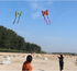 free shipping butterfly kites flying toys for children kites line nylon kites surf professional wind kites volantines child kite