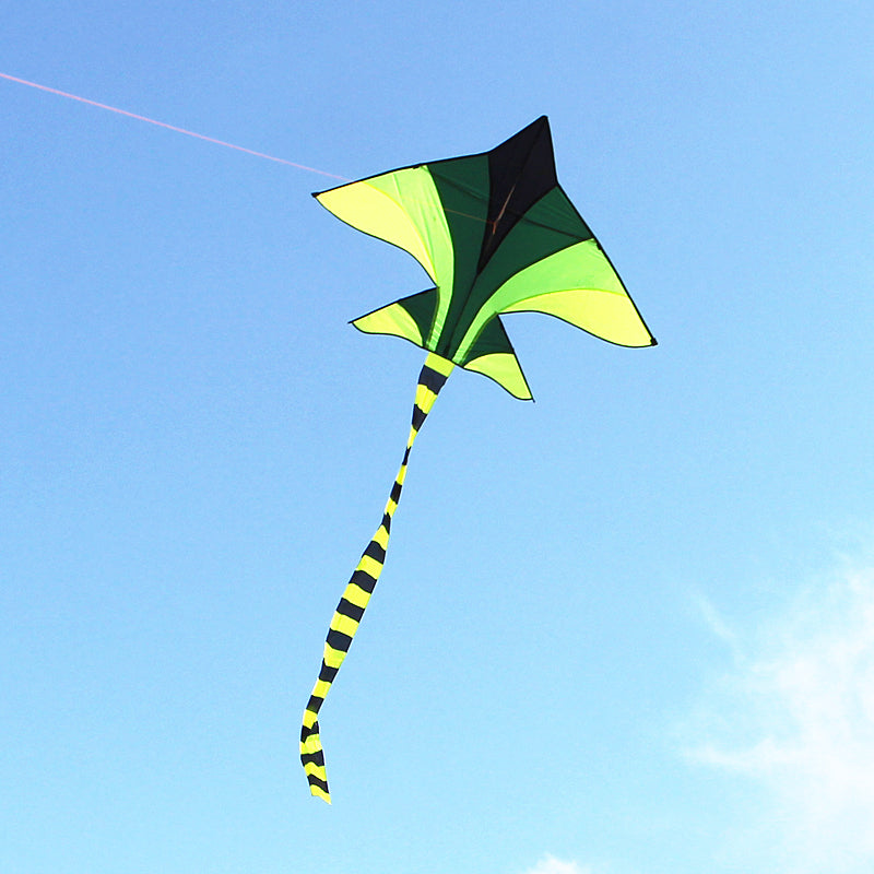 free shipping plane kite for kids kite string line flying toys falcon kite surf set balloon beach outdoor fun sports games ikite