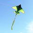 free shipping plane kite for kids kite string line flying toys falcon kite surf set balloon beach outdoor fun sports games ikite