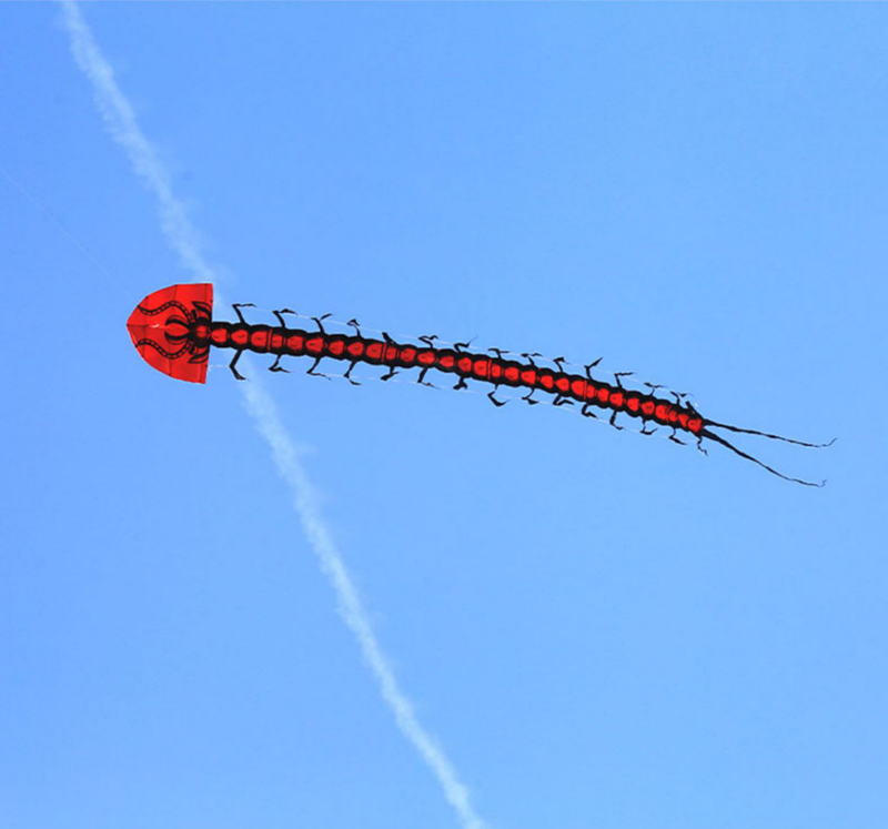 free shipping centipede kite flying adults kites factory professional wind kites line windsurfing sail flying dragon for kids