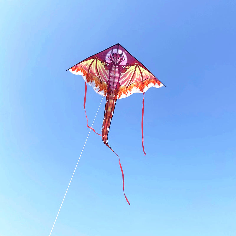 free shipping dragon kites flying toys for children kites line eagle kite factory snake kite for kids kites nylon kites factory
