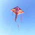 free shipping dragon kites flying toys for children kites line eagle kite factory snake kite for kids kites nylon kites factory