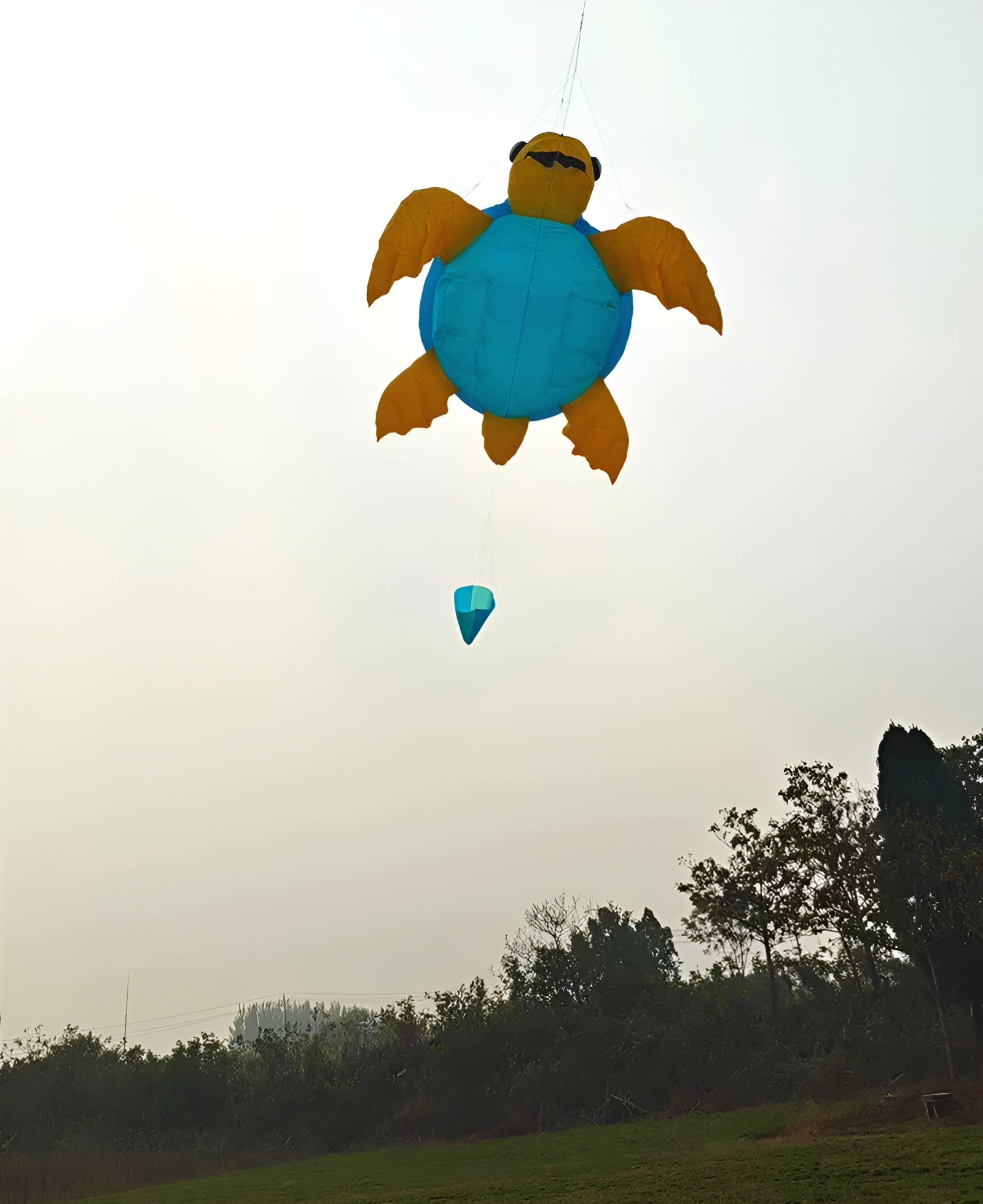 Free Shipping soft kites pendant kites shows inflatable kites factory kites for kids cometas cerf volant avion windrad