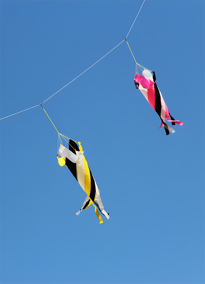 free shipping giant kites windsocks rainbow high tails weifang kites pendant kites accessories sports entertainment rabiolas