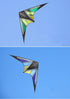 free shipping 236cm large dual line stunt kite flying for adults kites professional kites factory wind kites for seniors kevlar