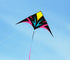 free shipping large delta kites flying for adults kites reel professional wind kites factory pocket kite sports toys Eagle kite