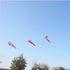 free shipping large kite windsocks kite tails ripstop nylon fabric inflatable kite accessories 3d kite pendant kite trilobites